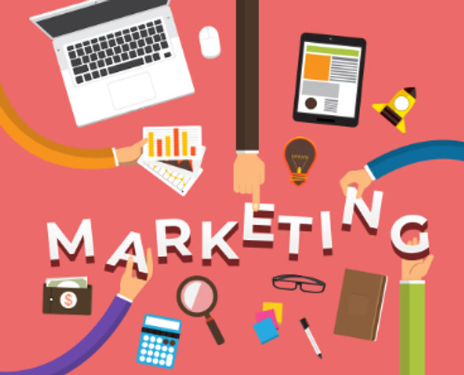 Femke: de kracht achter marketing en communicatie bij Zintuig